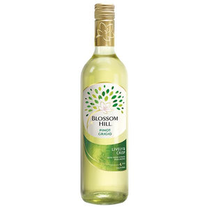 Blossom Hill Pinot Grigio